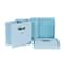 Household Essentials Storage Bins with Lids, 2ct.
